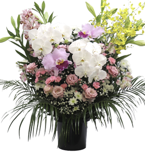 40,700円 洋花ピンク